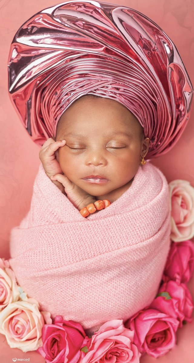 standardbuzz🐐 tweet media