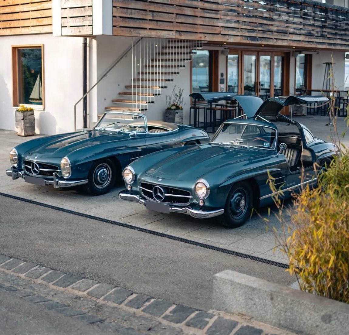 W3BS_3 💼💚 tweet media