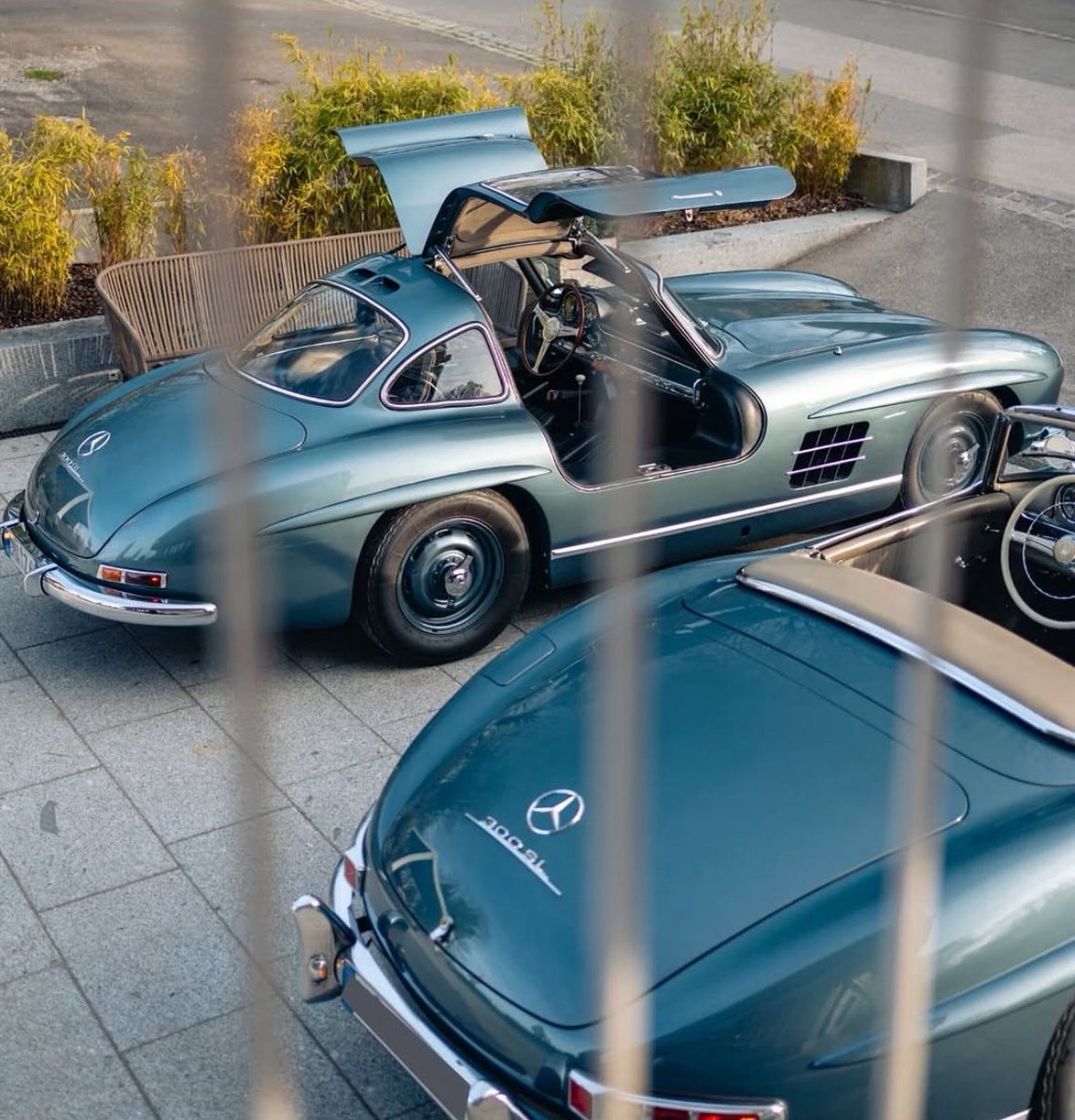 W3BS_3 💼💚 tweet media