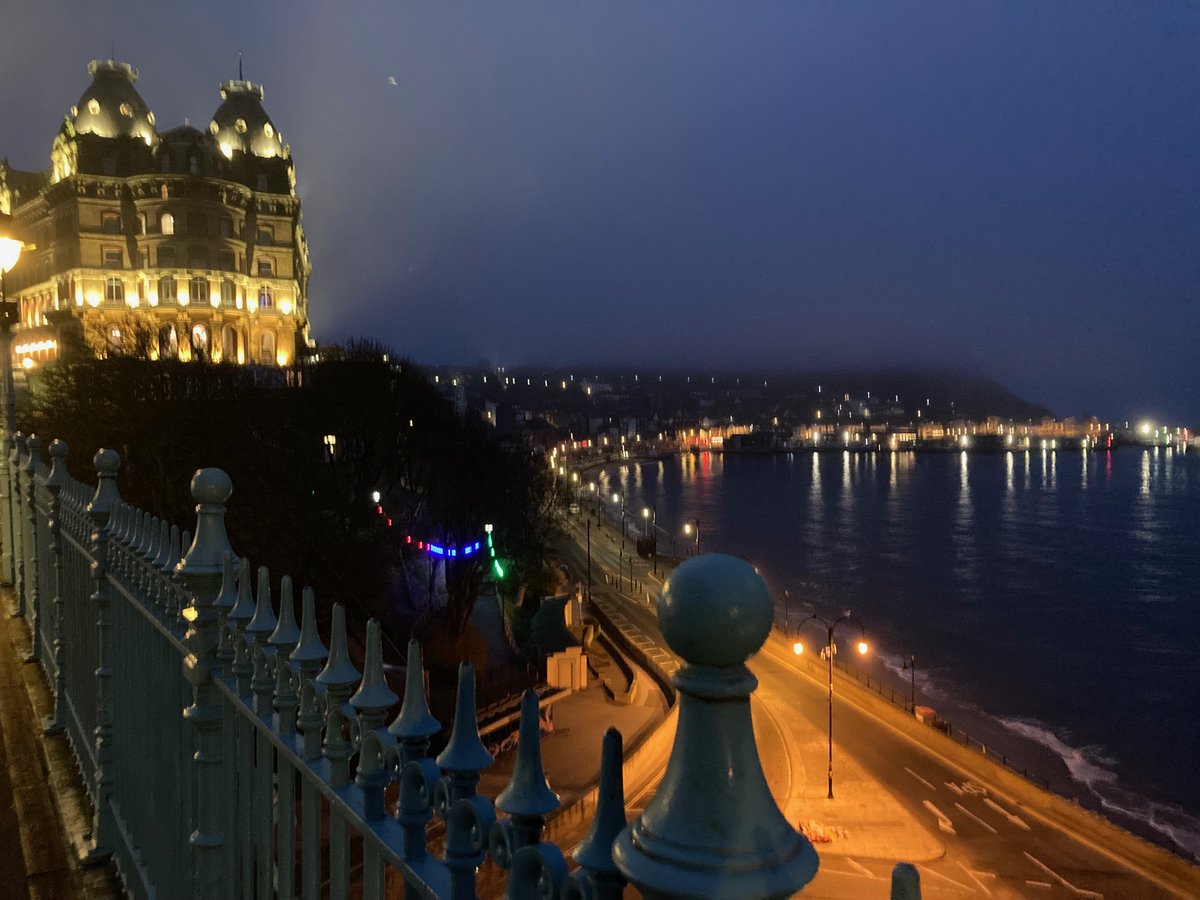 Faith Young Writer tweet media