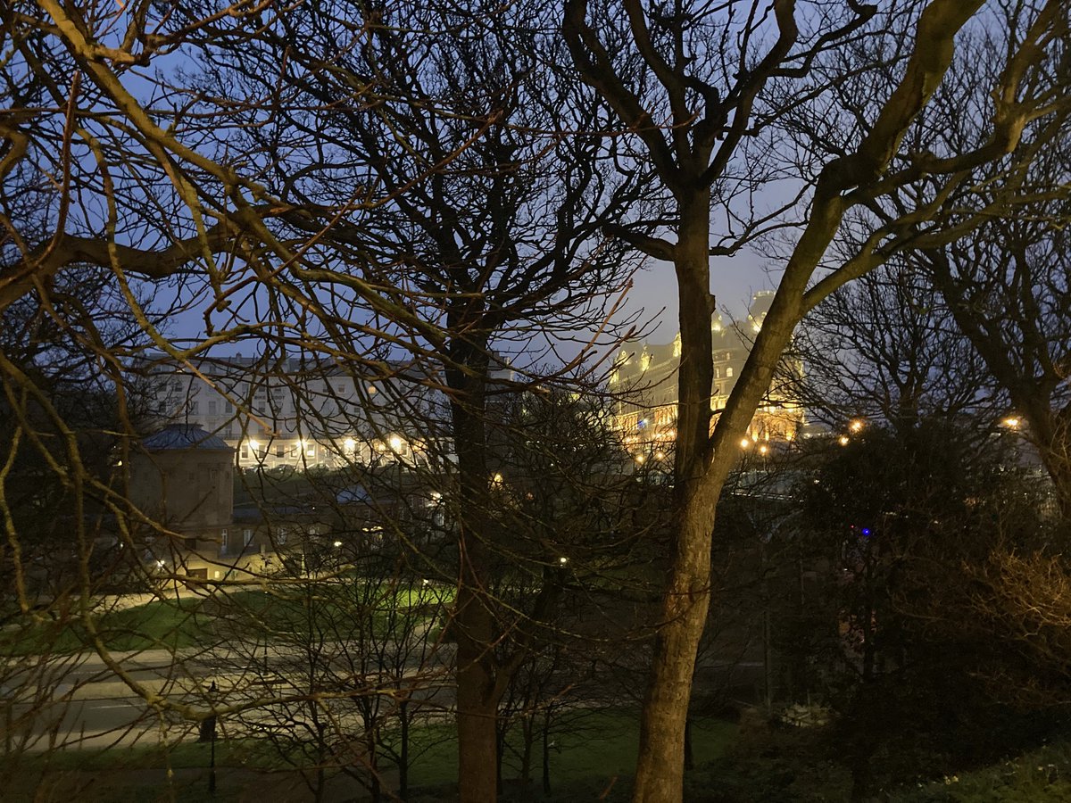 Faith Young Writer tweet media