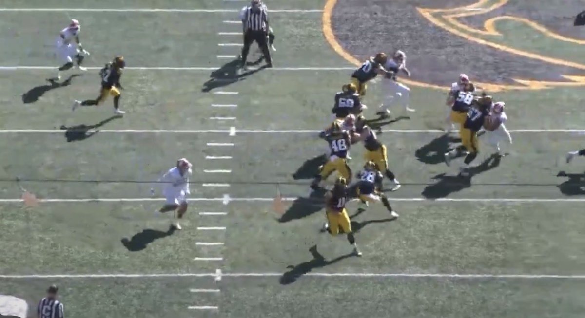 Ravens Flock tweet media