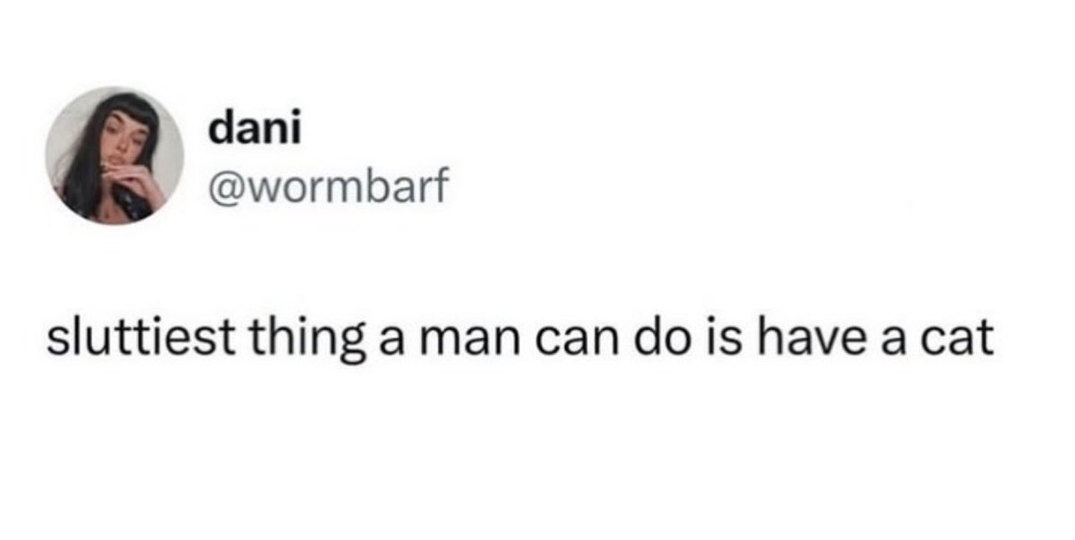 Missileman tweet media