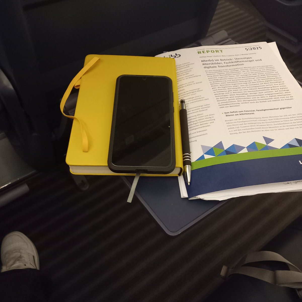 Sweet northern summer child tweet media