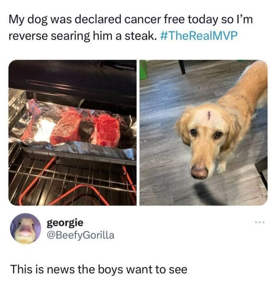 Wolf of X tweet media