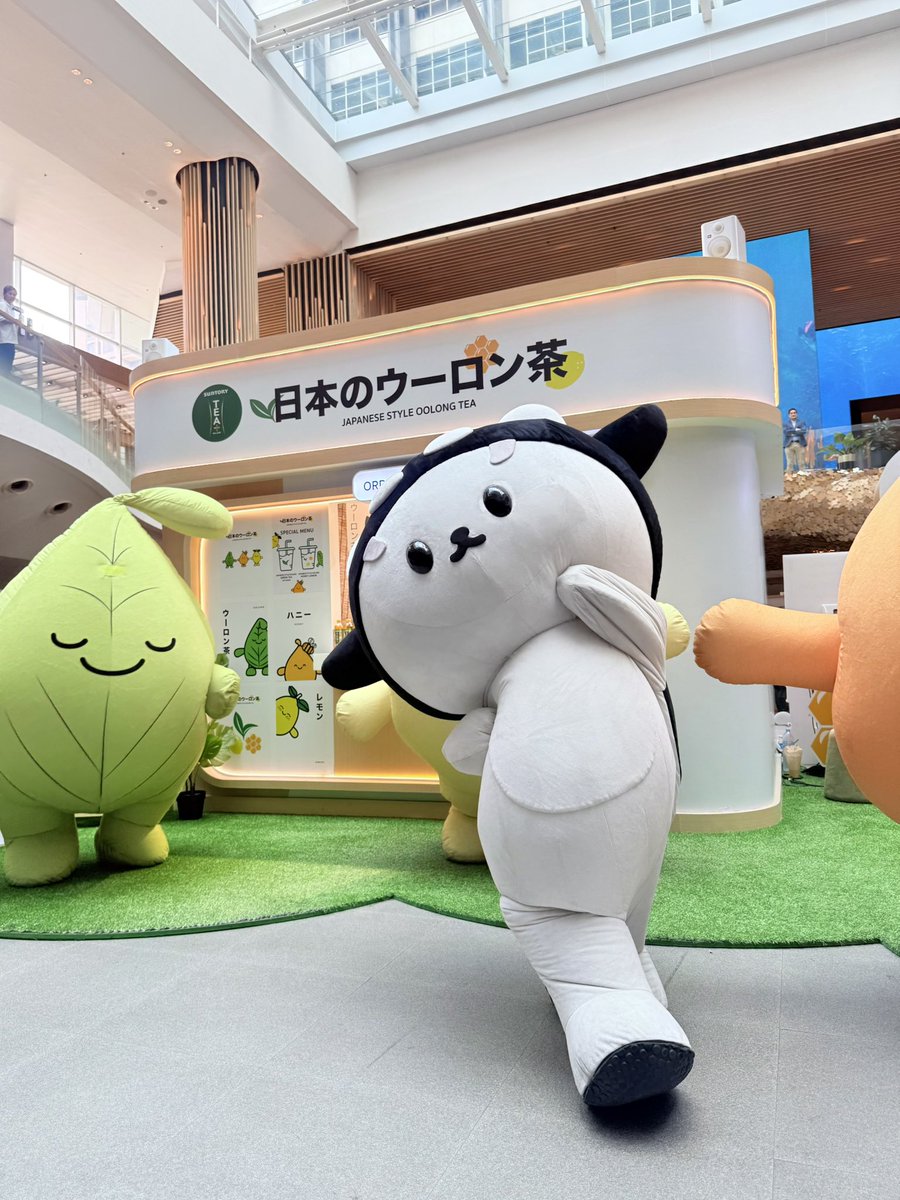 Polcasan tweet media