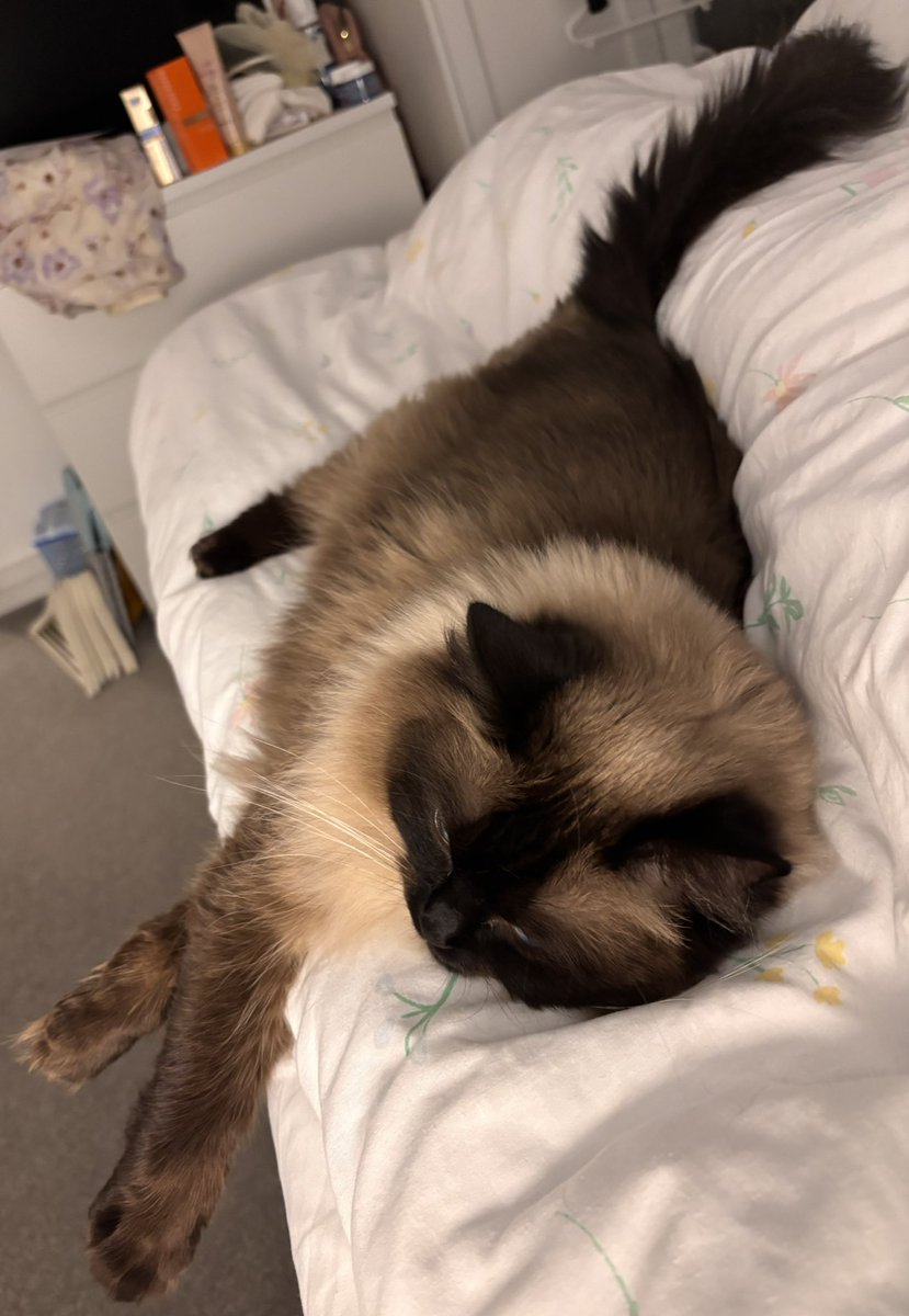 StevieDee tweet media