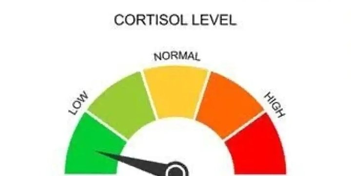 -_SAGE_- | セージ tweet media