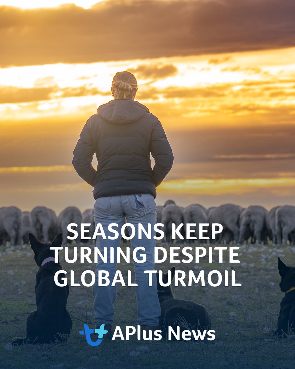 AuctionsPlus tweet media