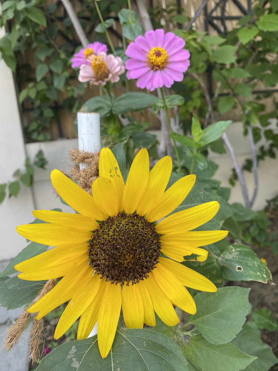 OohShitIt'sHer tweet media