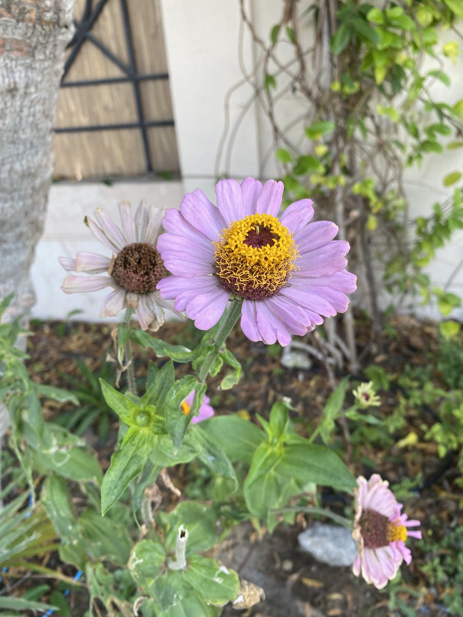 OohShitIt'sHer tweet media