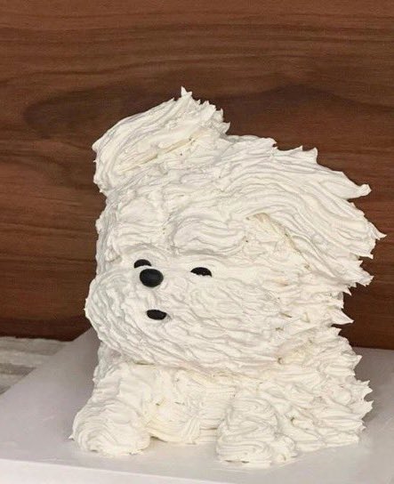 บี๋เต่ย🐰 tweet media