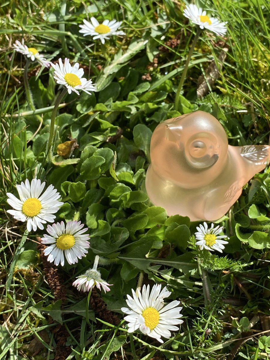 Musée Lalique tweet media