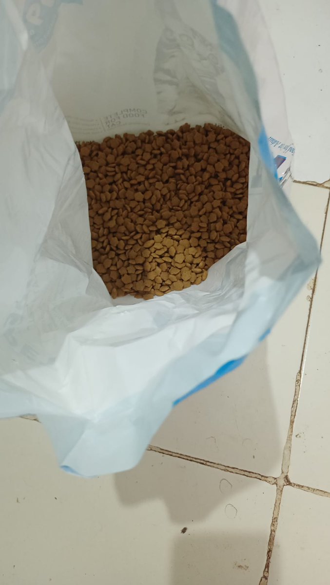 The Hell tweet media