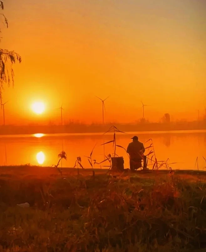 Jason Castellanos tweet media