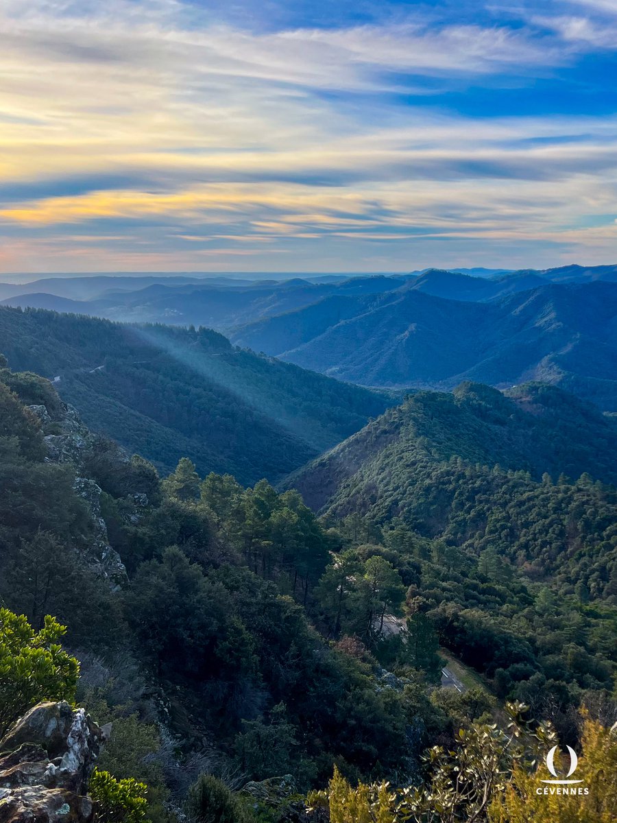 Les Cévennes d’Oraterra tweet media