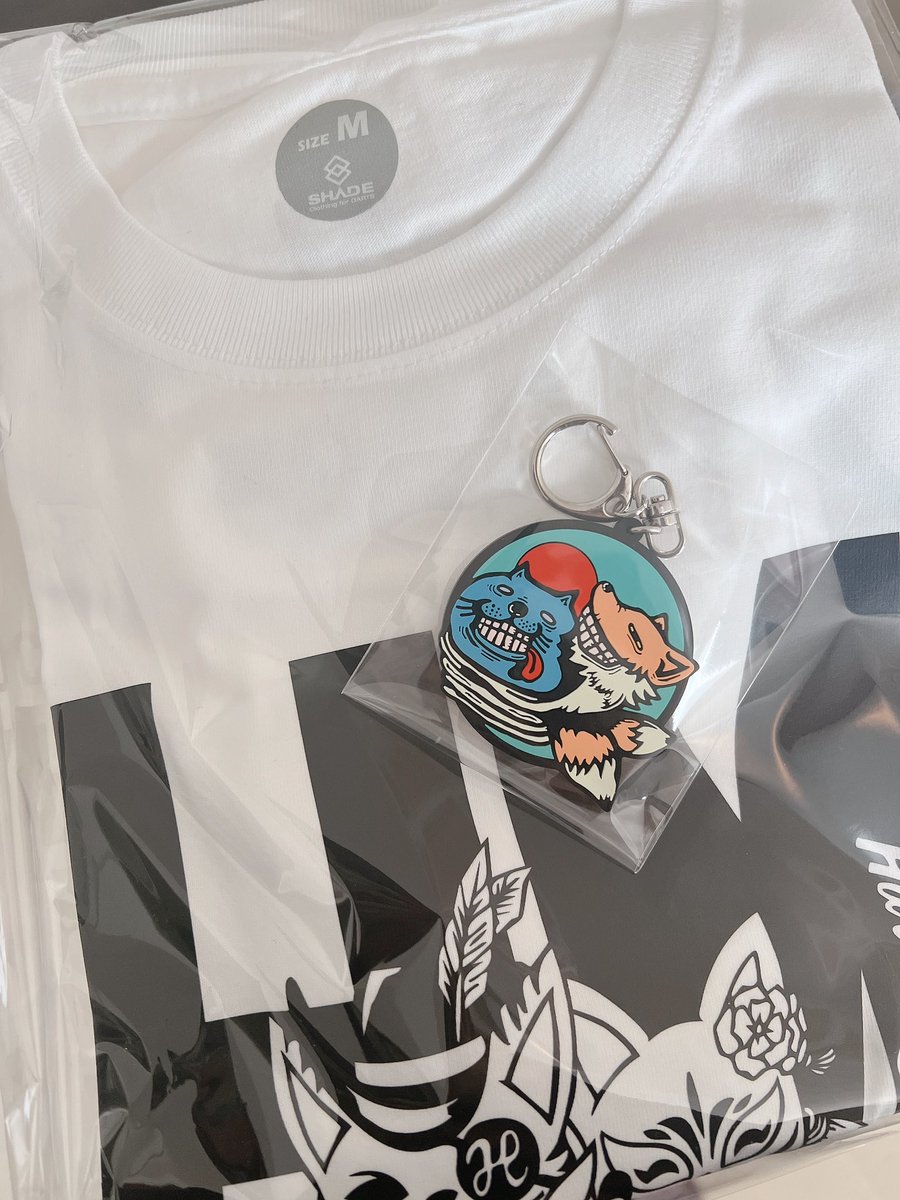 ちゃんまな tweet media