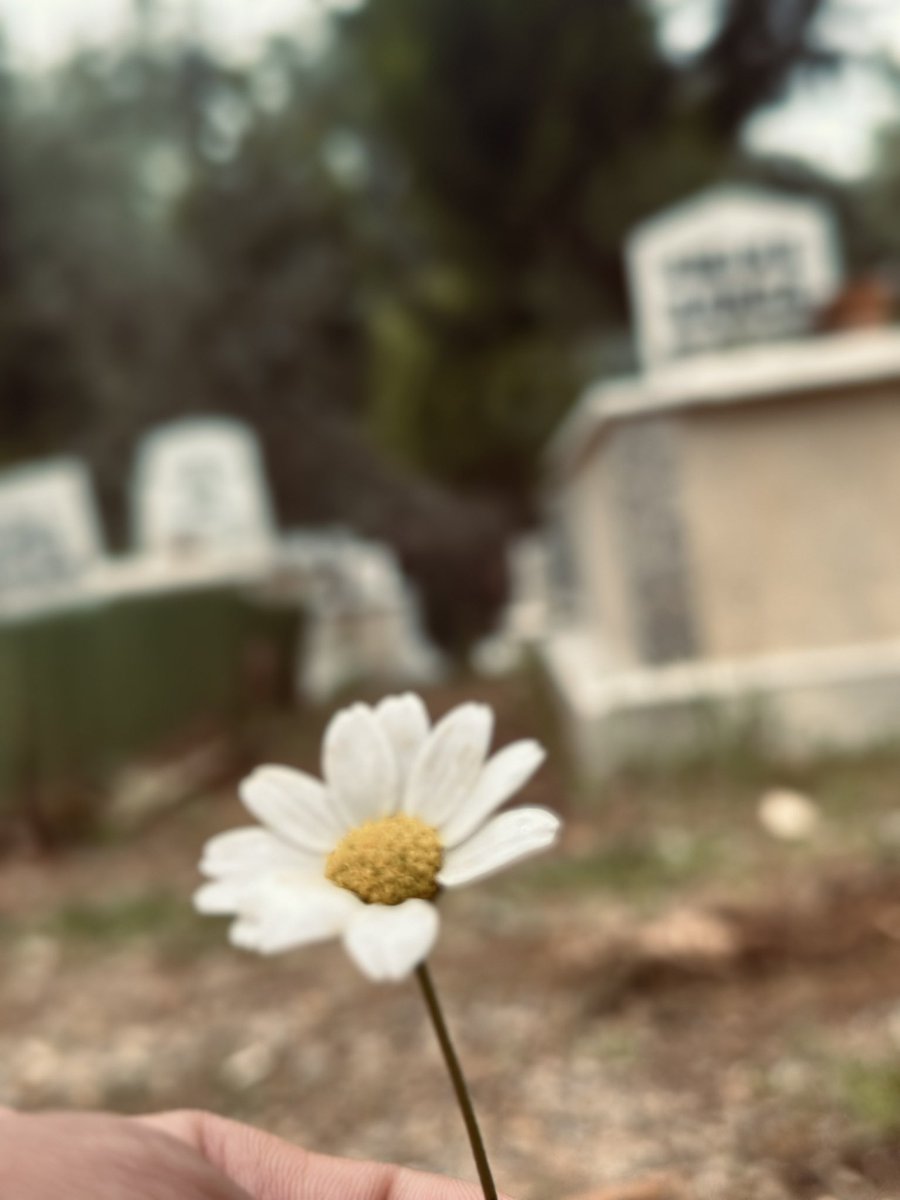 Yasin M. tweet media