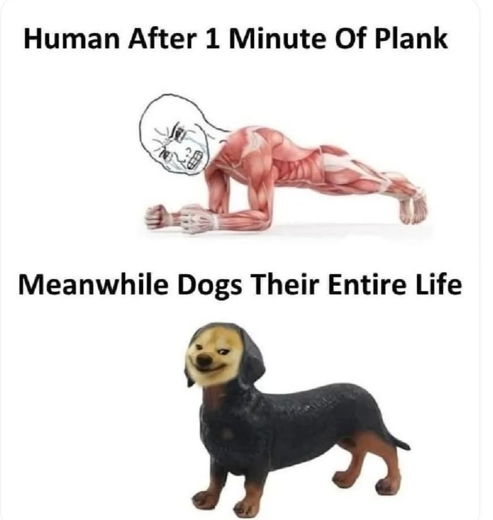 Ishita_Sharma42's tweet photo. Humor so broke 😭 https://t.co/2lgYLQig4y