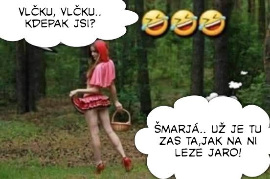 Lucienne tweet media