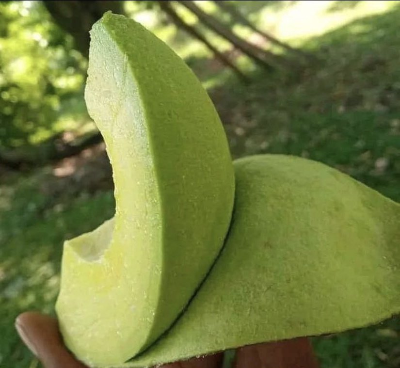 Chidi Nwammiri tweet media