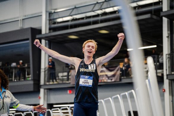 Hardloopnetwerk tweet media