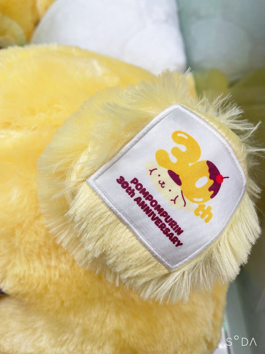 アミューズファクトリーAXE（アクス） tweet media