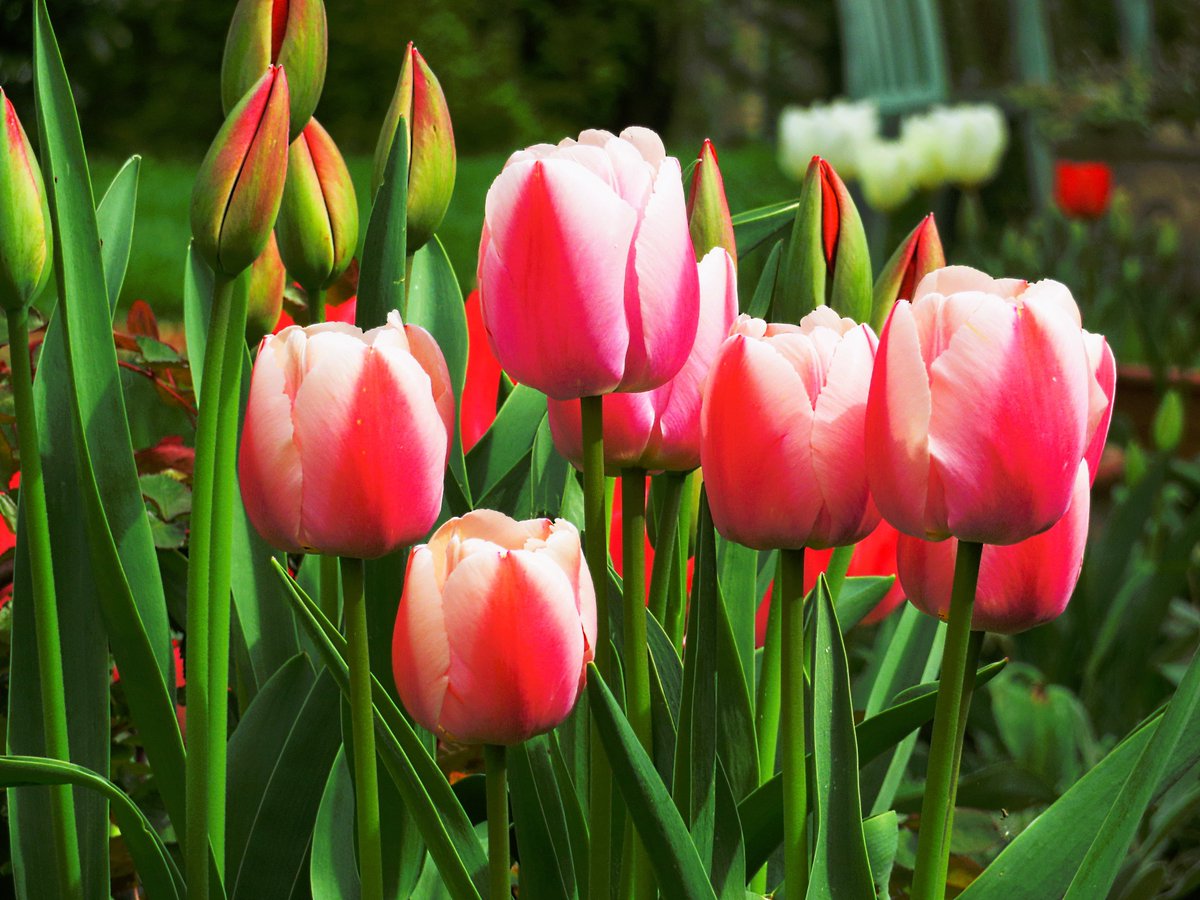 PlanPlan-Bilou tweet media