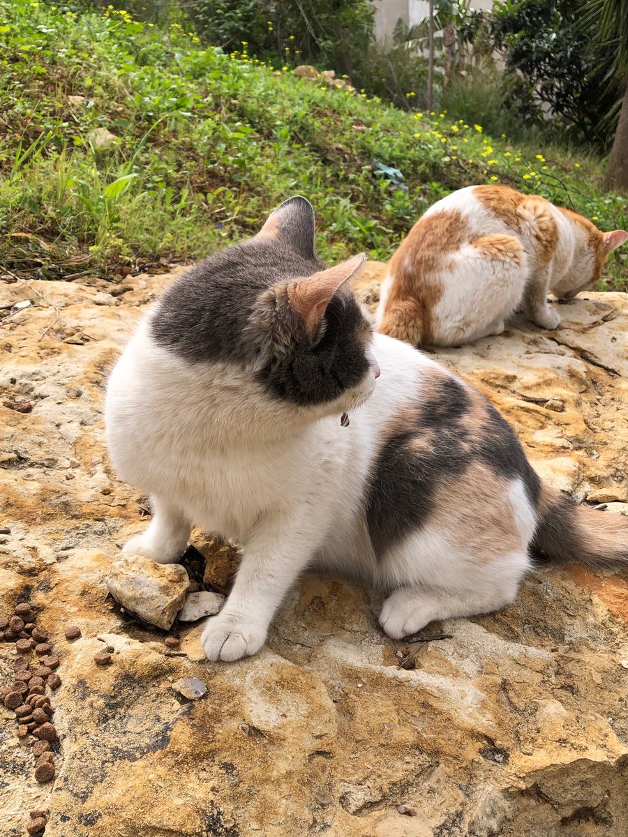 Marie Nassar3 tweet media