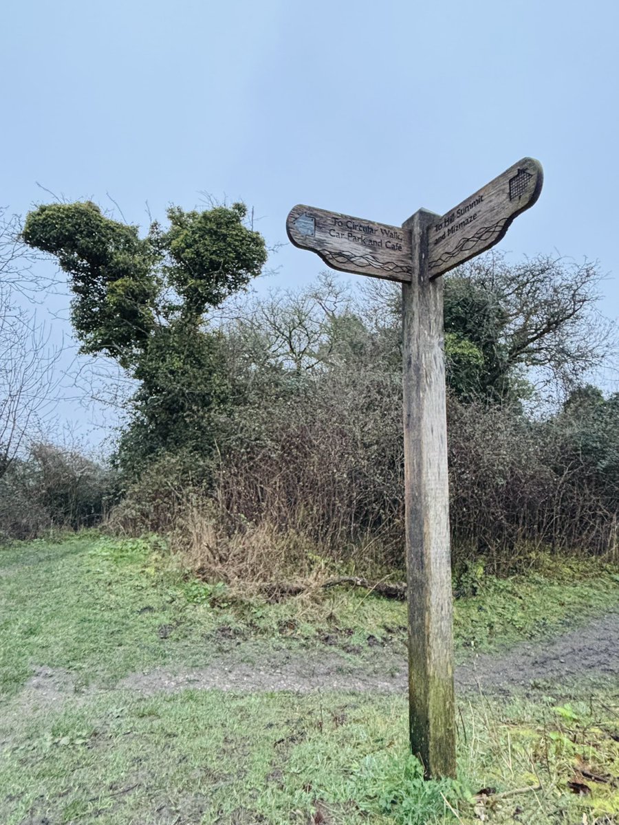 OurScapes tweet media