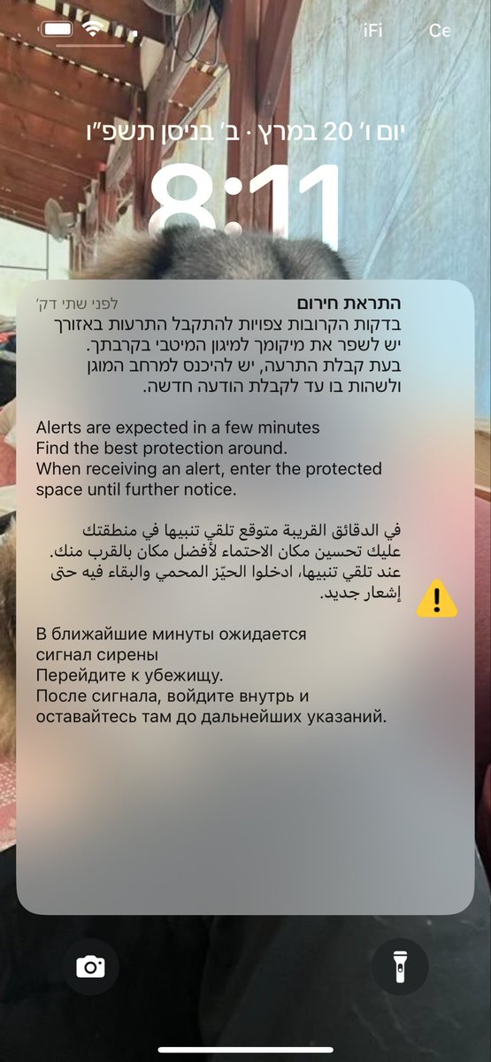 Haimon9000 tweet media