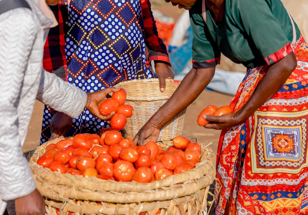 World Bank Group AgriFood tweet media