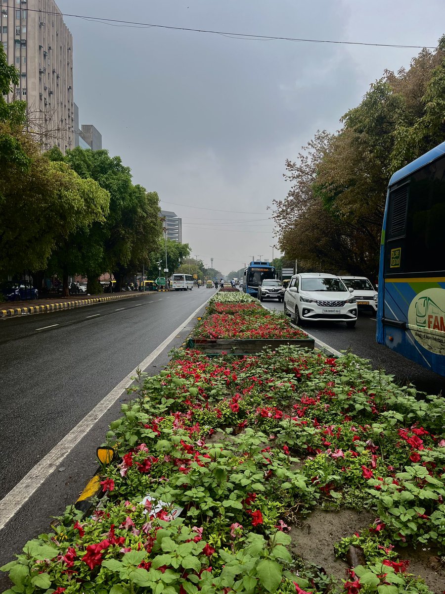 Spring whispers in raindrops, kissing the earth awake. #delhirains 🌹🌧️