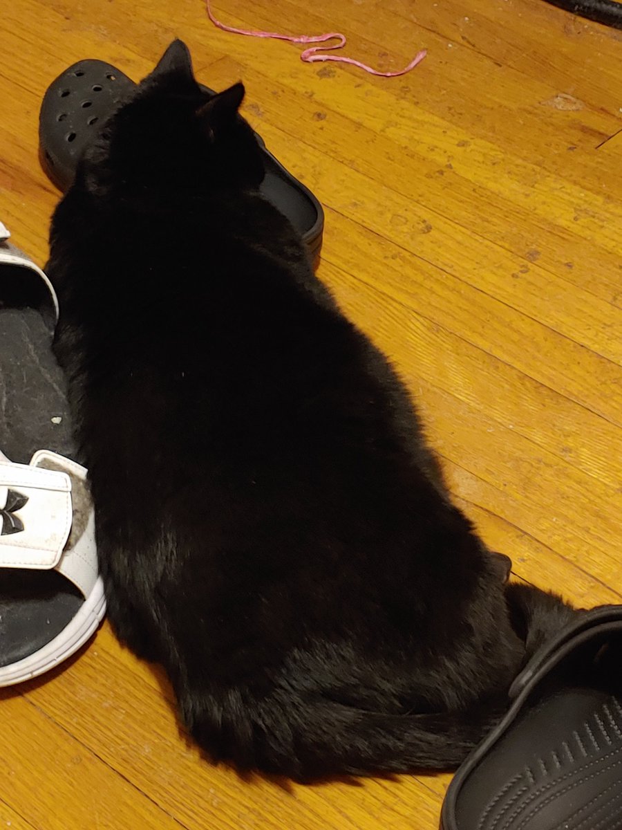 Mario Speedwagon tweet media