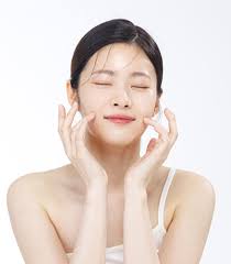 밈 퍼오는 비숑 premium+ tweet media