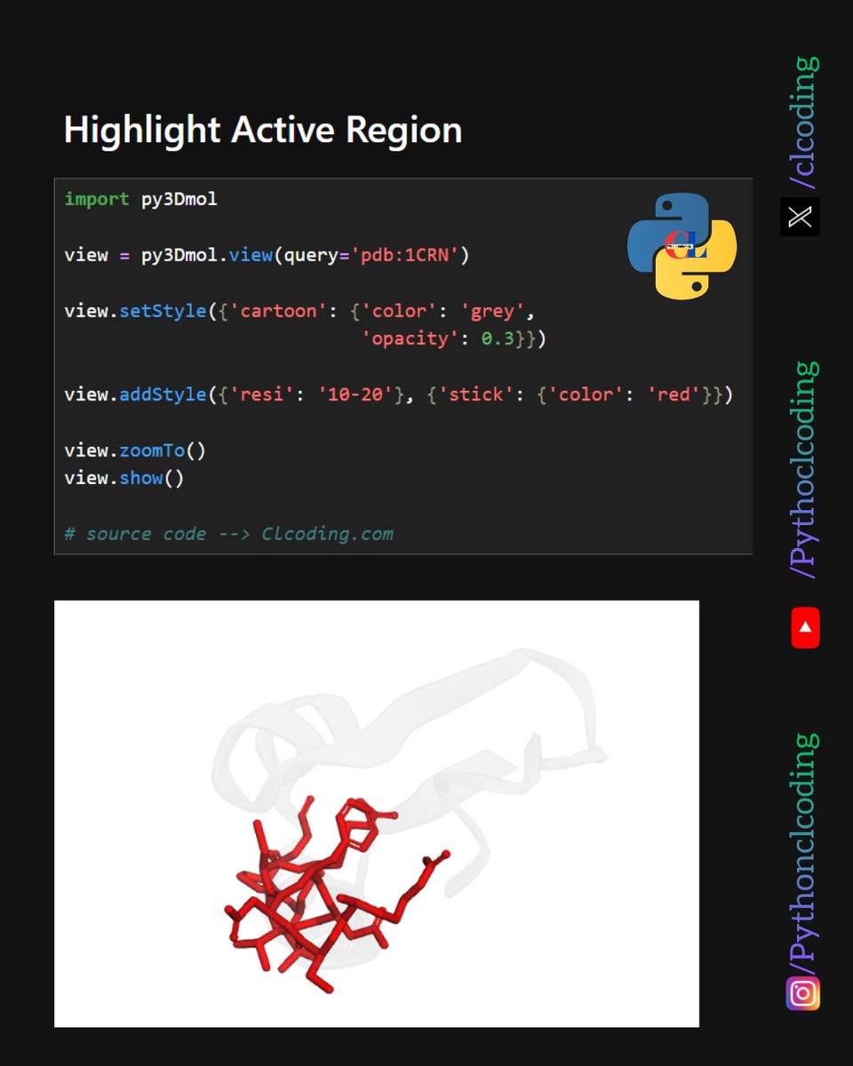 Python Coding tweet media