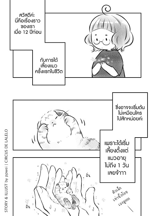 ppwei 🐱 B39 #งานหนังสือ2569 tweet media