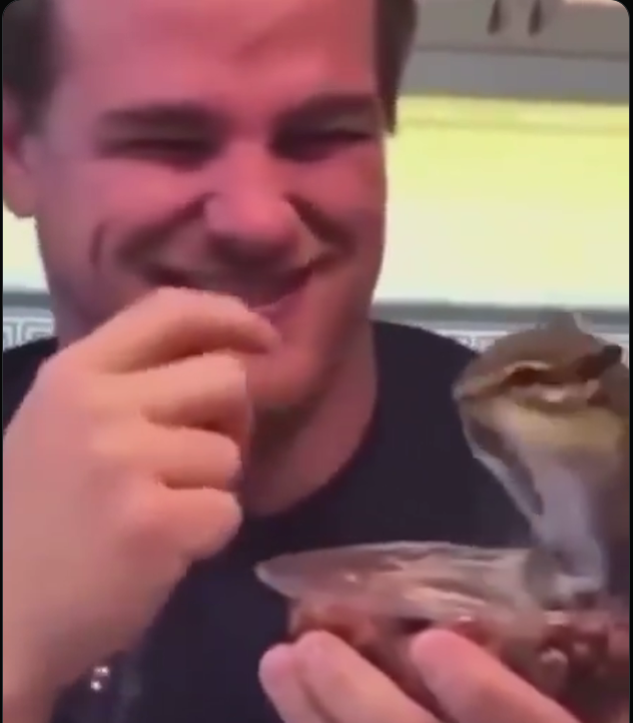 🍂 Autumn 🍂 tweet media