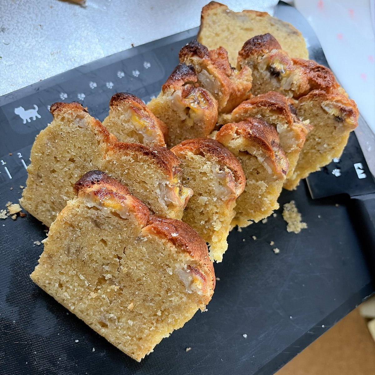 クロねこ=´･ω･`= tweet media