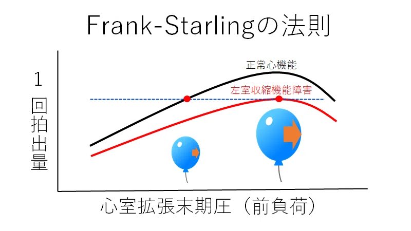 ツバえもん🧸🌈 tweet media