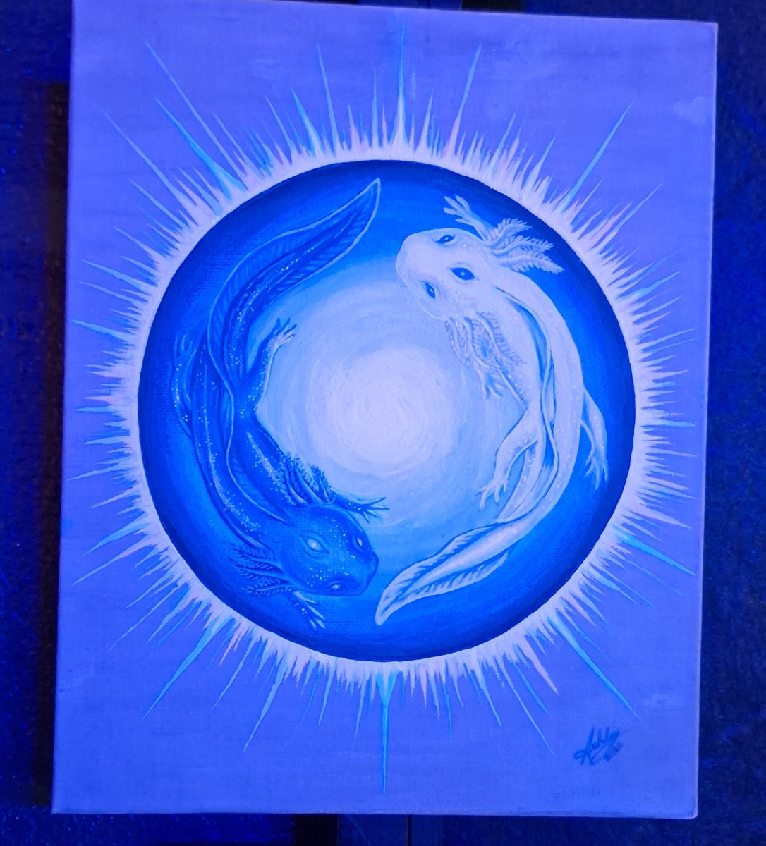 Ophe ᵃᵘ Enhypen is seven tweet media