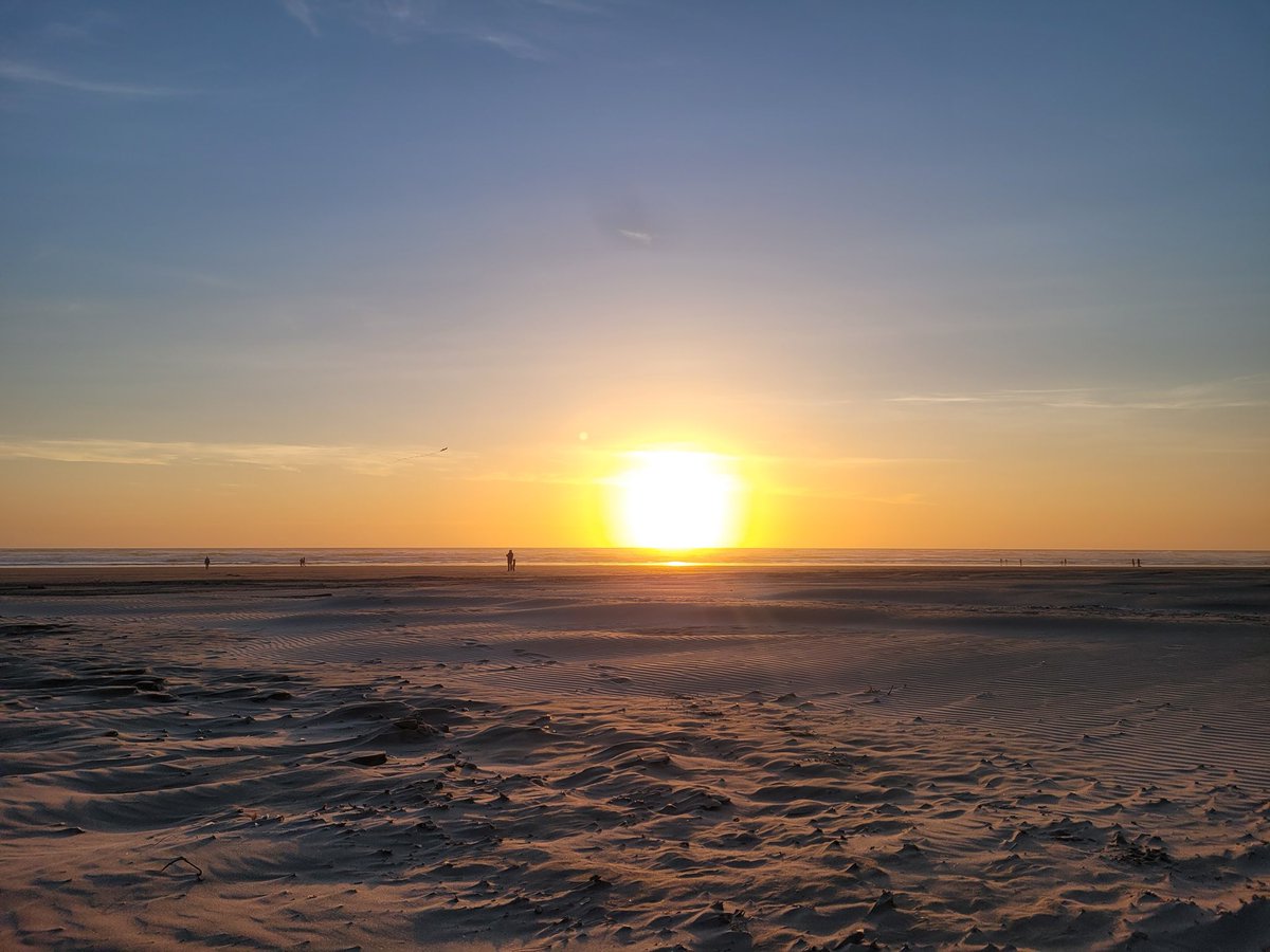 ZD | Kitten $ips tweet media