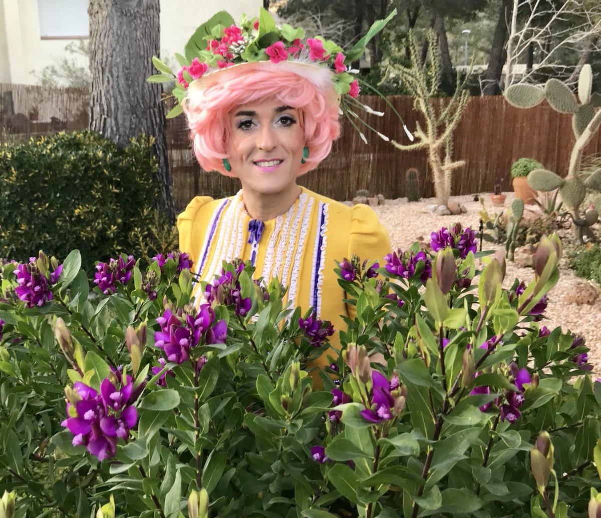 Brigitta Lamoure tweet media