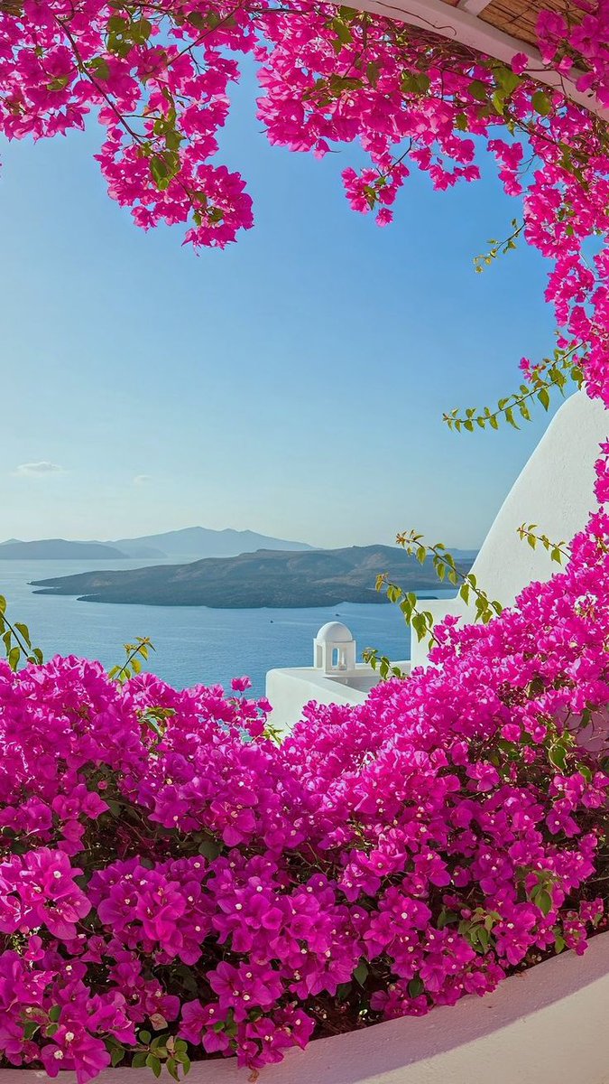 ΓΕΩΡΓΙΑ ΜΠΑΛΛΗ tweet media