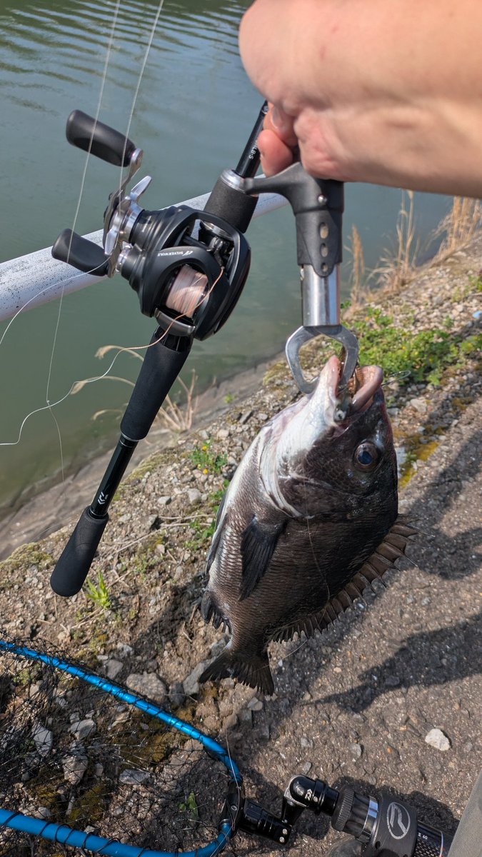 みっし～ tweet media