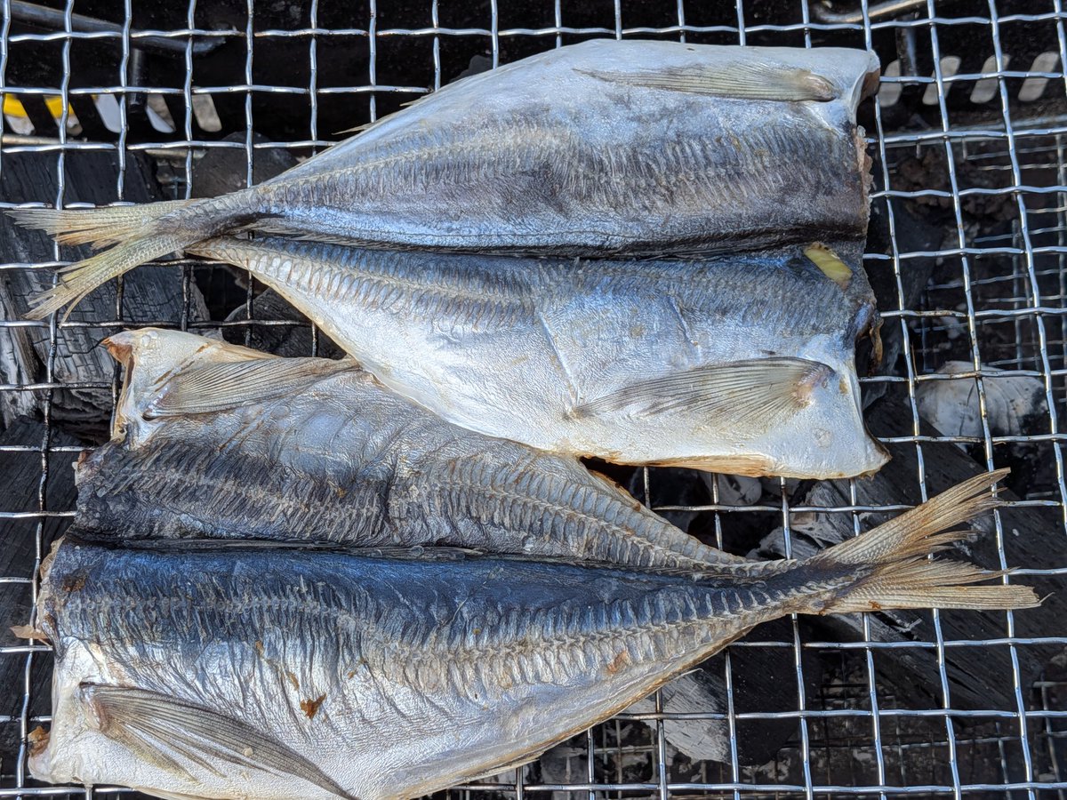 mond  selection tweet media