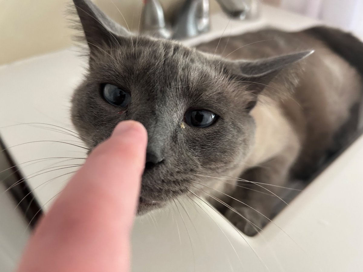 Nimrod McDuffey tweet media