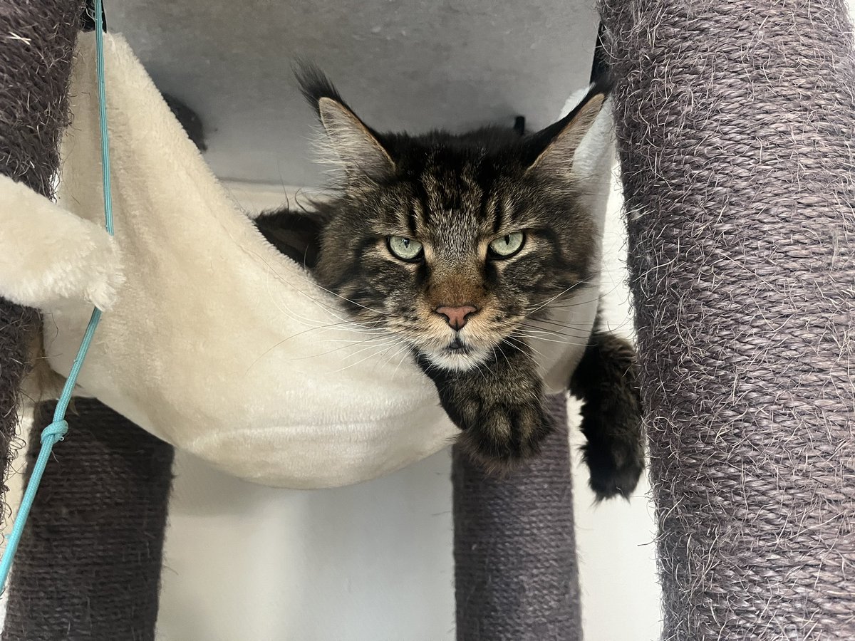 CodingJay tweet media