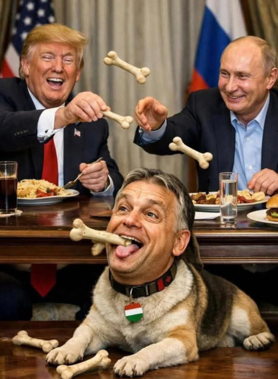 claudio#italiasolidalefutura tweet media