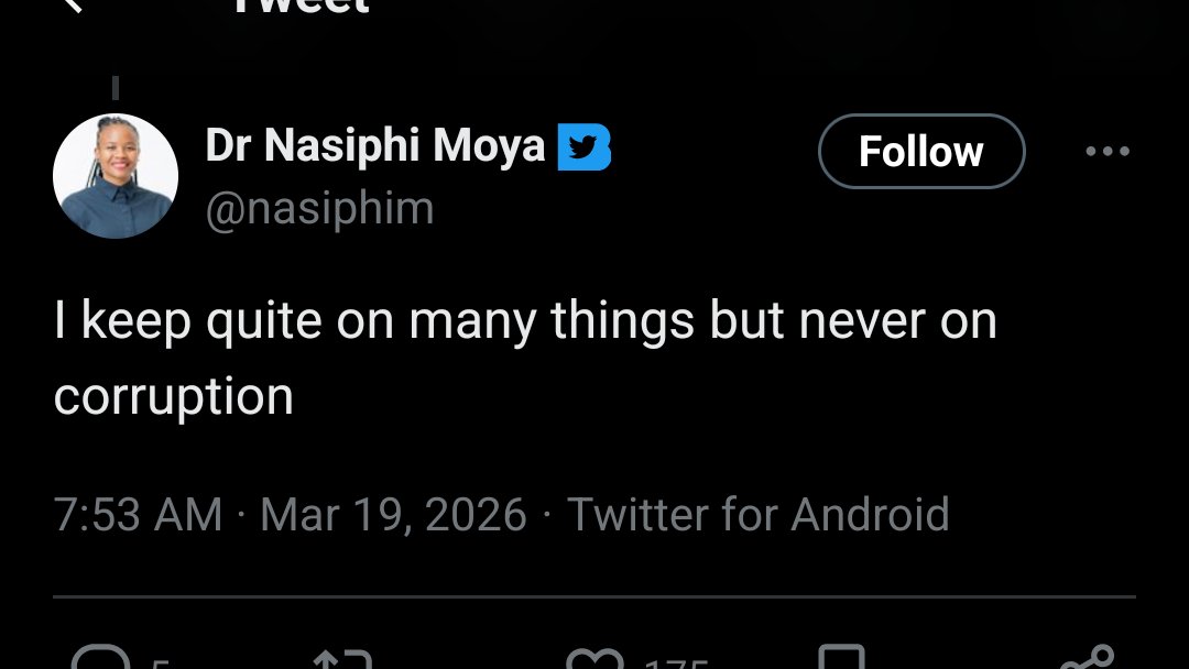 Em Tempest 🐭 tweet media